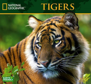 National Geographic Tigers