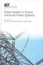 Power Quality in Future Electrical Power Systems