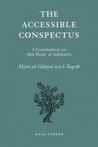 Accessible Conspectus