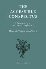 Accessible Conspectus