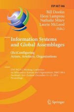 Information Systems and Global Assemblages: (Re)configuring Actors, Artefacts, Organizations