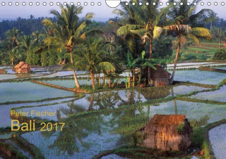 Peter Fischer - Bali 2017 (Wandkalender 2017 DIN A4 quer)
