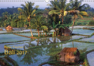 Peter Fischer - Bali 2017 (Wandkalender 2017 DIN A3 quer)