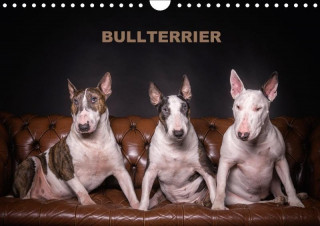 Bullterrier (Wandkalender 2017 DIN A4 quer)