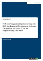 Verbesserung der Anlagenauslastung mit Hilfe der linearen Optimierung. Software Engineering nach der 