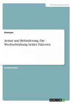 Armut und Behinderung. Die Wechselwirkung beider Faktoren