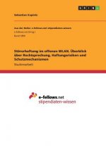 Stoererhaftung im offenen WLAN. UEberblick uber Rechtsprechung, Haftungsrisiken und Schutzmechanismen