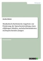 Musikalisch-rhythmische Angebote zur Foerderung der Sprachentwicklung, eines elfjahrigen blinden, mehrfachbehinderten, nichtsprechenden Jungen