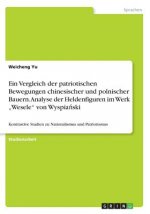 Vergleich der patriotischen Bewegungen chinesischer und polnischer Bauern. Analyse der Heldenfiguren im Werk 
