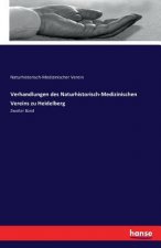 Verhandlungen des Naturhistorisch-Medizinischen Vereins zu Heidelberg