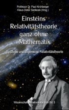 Einsteins Relativitatstheorie ganz ohne Mathematik