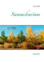 Sammelsurium