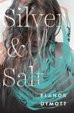 Silver and Salt - A Novel
