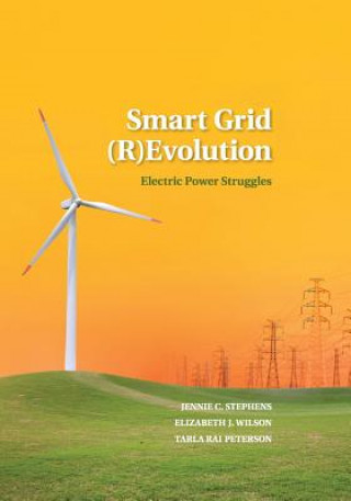 Smart Grid (R)Evolution