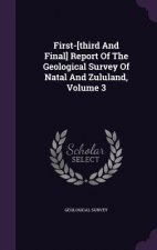 First-[Third and Final] Report of the Geological Survey of Natal and Zululand, Volume 3