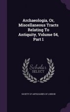 Archaeologia, Or, Miscellaneous Tracts Relating to Antiquity, Volume 54, Part 1