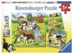 Süße Katzen und Hunde. Puzzle 3 x 49 Teile