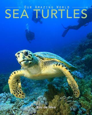 Sea Turtles