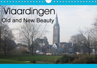 Vlaardingen Old and New Beauty (Wall Calendar 2017 DIN A4 Landscape)