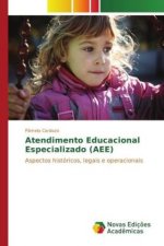 Atendimento Educacional Especializado (AEE)