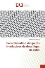 Caractérisation des joints interfaciaux de deux tiges de rotin