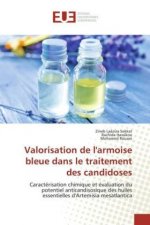 Valorisation de l'armoise bleue dans le traitement des candidoses