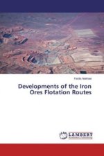 Developments of the Iron Ores Flotation Routes