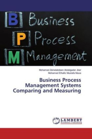 Business Process Management Systems Comparing and Measuring
