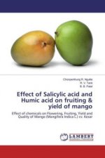 Effect of Salicylic acid and Humic acid on fruiting & yield of mango