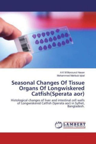 Seasonal Changes Of Tissue Organs Of Longwiskered Catfish(Sperata aor)