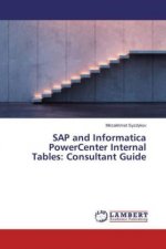SAP and Informatica PowerCenter Internal Tables: Consultant Guide