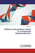 Defects and positron states in Compound Semiconductors