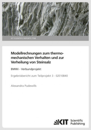 Modellrechnungen zum thermomechanischen Verhalten und zur Verheilung von Steinsalz: BMWi - Verbundprojekt Ergebnisbericht zum Teilprojekt 3 - 02E10840