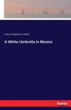 White Umbrella in Mexico
