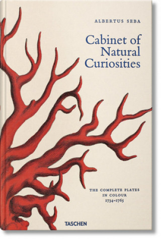 Albertus Seba. Cabinet of Natural Curiosities