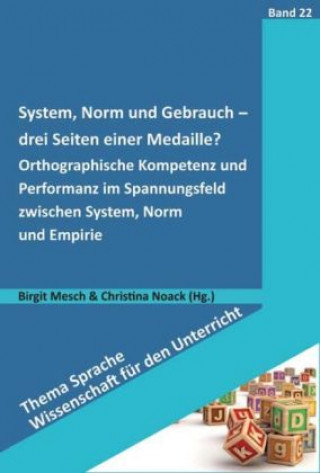 System, Norm und Gebrauch - drei Seiten einer Medaille?