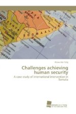 Challenges achieving human security