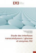 Etude des interfaces nanocatalyseurs / glucose et enzymes /O2