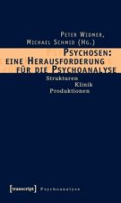 Psychosen: Herausforderung für die Psychoanalyse