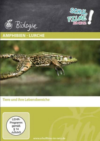 Amphibien - Lurche