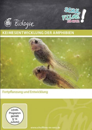Keimesentwicklung der Amphibien