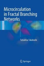 Microcirculation in Fractal Branching Networks