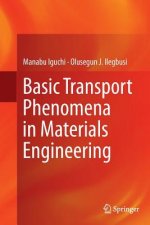 Basic Transport Phenomena in Materials Engineering