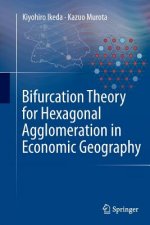 Bifurcation Theory for Hexagonal Agglomeration in Economic Geography
