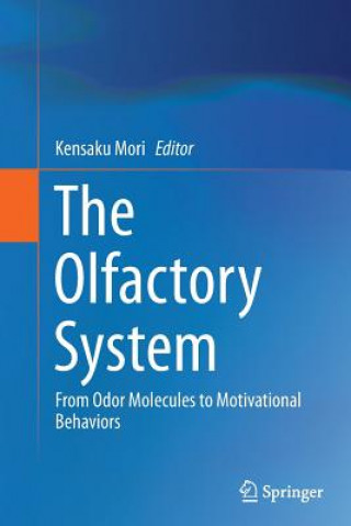 Olfactory System