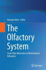 Olfactory System