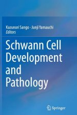 Schwann Cell Development and Pathology