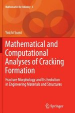 Mathematical and Computational Analyses of Cracking Formation