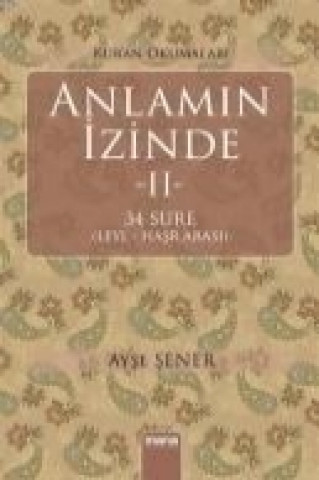 Anlamin Izinde 2