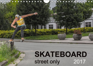 Skateboard - Street only (Wall Calendar 2017 DIN A4 Landscape)